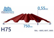 Профнастил Н75 окрашенный 0.55
