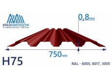 Профнастил Н75 окрашенный 0.8