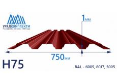 Профнастил Н75 окрашенный 1