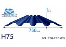 Профнастил Н75 с порошковым покрытием 1